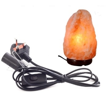 110V US Himalayan Salt Lamp 2 Pin Kabel Listrik AC